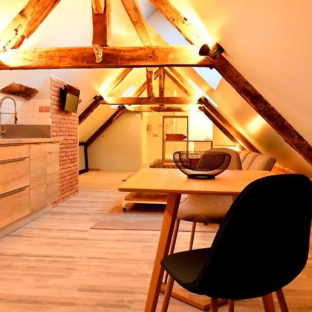 شقة Loft Sous Les Combles - Loft Under The Rafter روديه المظهر الخارجي الصورة