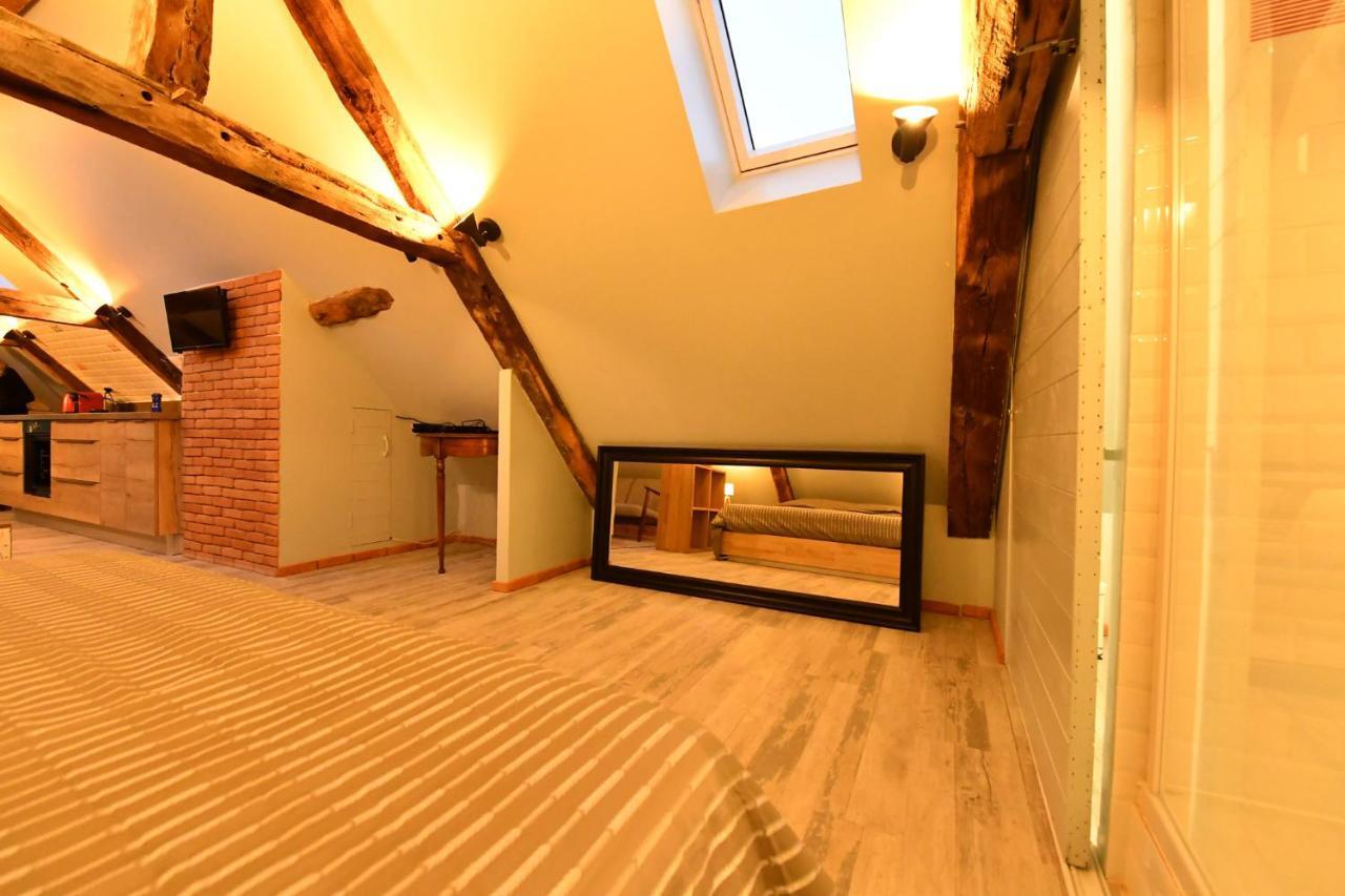 شقة Loft Sous Les Combles - Loft Under The Rafter روديه المظهر الخارجي الصورة